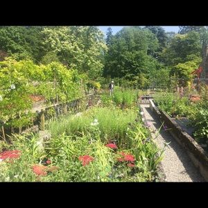 Meet your Posher, Ella